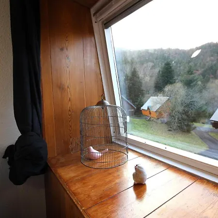 T2Bis Confortable Au Pied Des Pistes - 6 Pers, Parking, Local A Skis, Animaux Acceptes - Fr-1-415-149 Le Mont-Dore Exterior photo